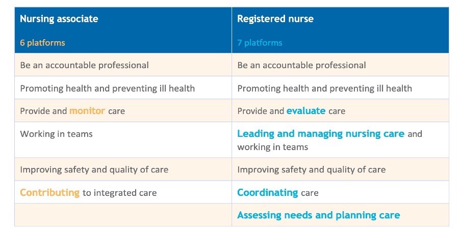 By modernising, through dynamic and accessible career pathways, we can shape a workforce that is fit for purpose for the next decade and beyond and positively demonstrate good outcomes, experience, and compassionate care for those who need our support.
